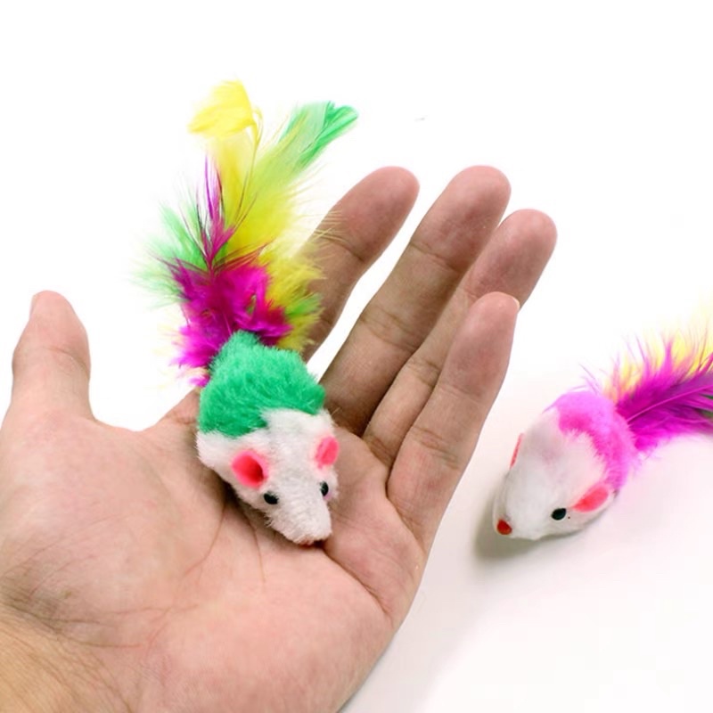 Chuột lông vũ đồ chơi cho mèo🐹