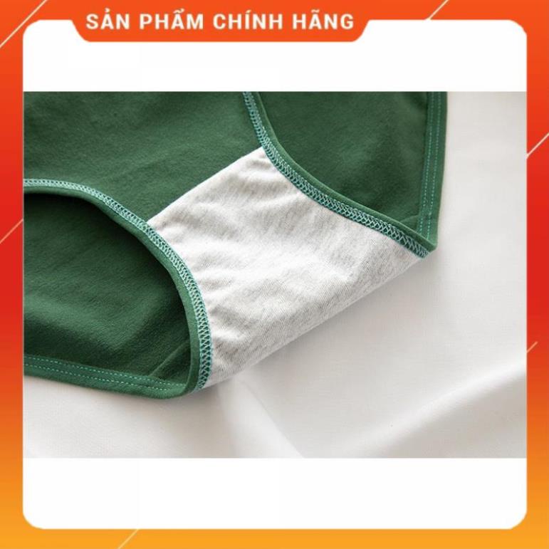Quần Lót Nữ ❤️ Quần Cotton Nữ Họa Tiết Gấu Xanh Đậm Đáng Yêu Ngộ Nghĩnh MS 288