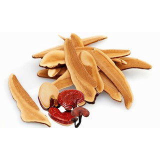Nấm linh chi thái lát Hàn Quốc 500g