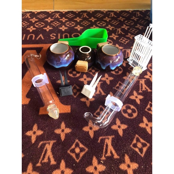 1 combo cho chim mào choè