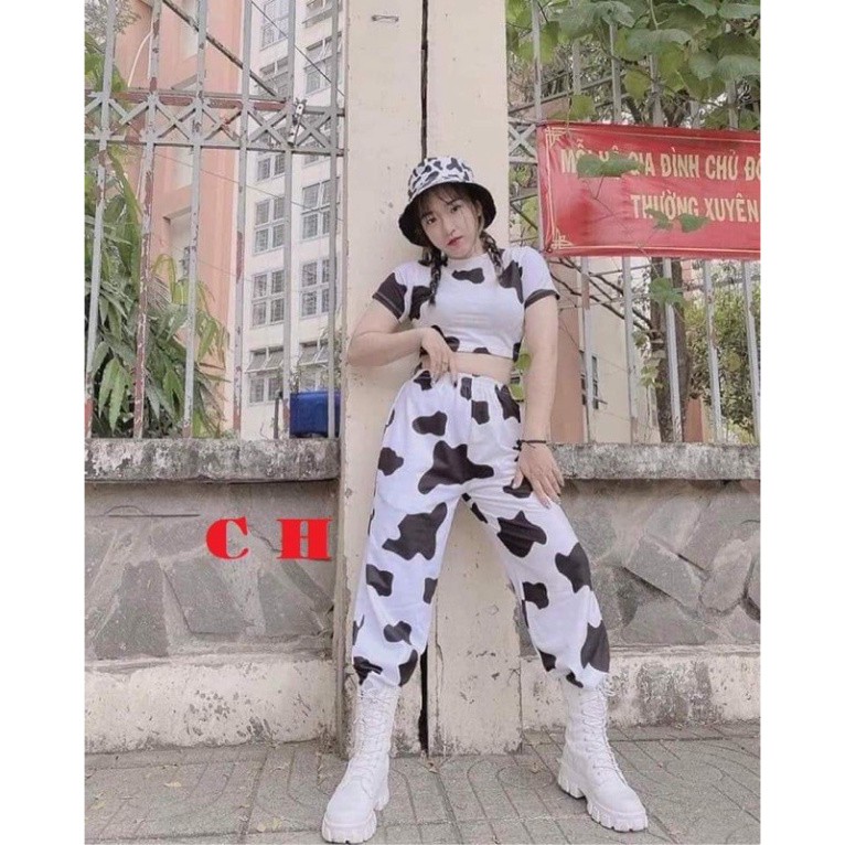 Áo croptop bò sữa CH0421