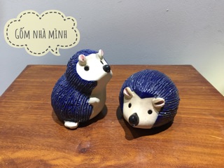 Nhím men nằm - đứng