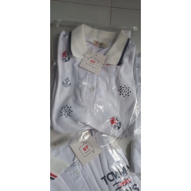 Áo polo nữ thun cotton đẹp y hình