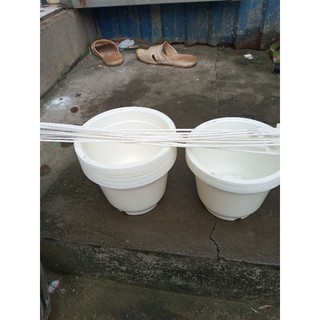 10 chậu trồng hoa rộng 17cm x12cm giá rẻ