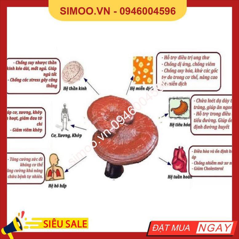 💥 ⚡ SẢN PHẨM CHÍNH HÃNG 💥 ⚡  Cao Linh Chi YoungJi Hộp Gỗ Đen HÀN QUỐC, Hộp 3 lọ* 120gr 💥 ⚡