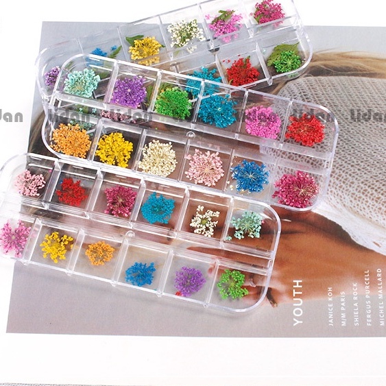 Set Hoa khô trang trí móng cánh nhỏ 12 màu