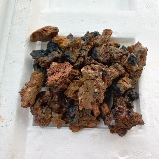sỉ than tổ ong[500g ]