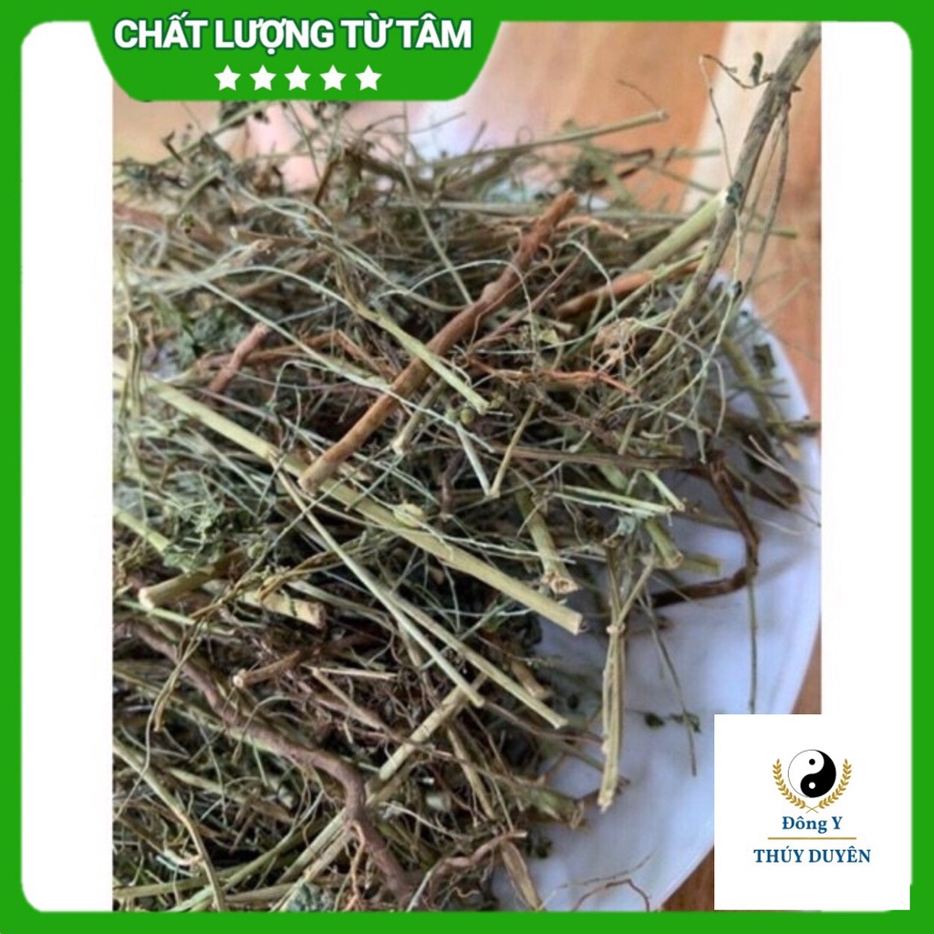 Cây Chó Đẻ 500g (Hàng chất lượng loại 1) - Diệp Hạ Châu