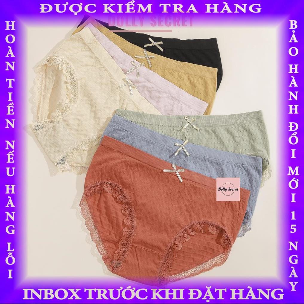 Quần lót cotton co dãn 8 chiều vải nhún viền ren sexy rẻ đẹp mềm mại kháng khuẩn Dolly Secret QL055 thiti