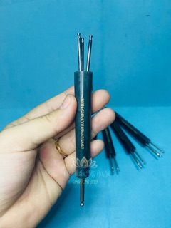 Cây Sao Chổi Diện Chẩn