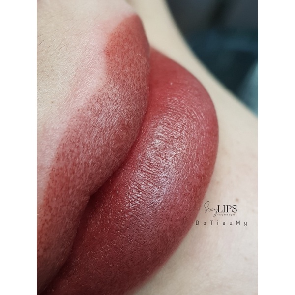 Mực Labina _Combo những tông trầm Kirschrot-Naturlippen Mittel-Beerenrot-Rosinenrot.