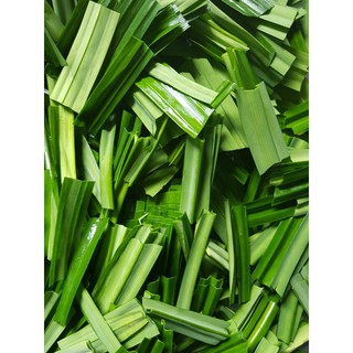 BỘT LÁ DỨA (LÁ NẾP) LENTECH 100g