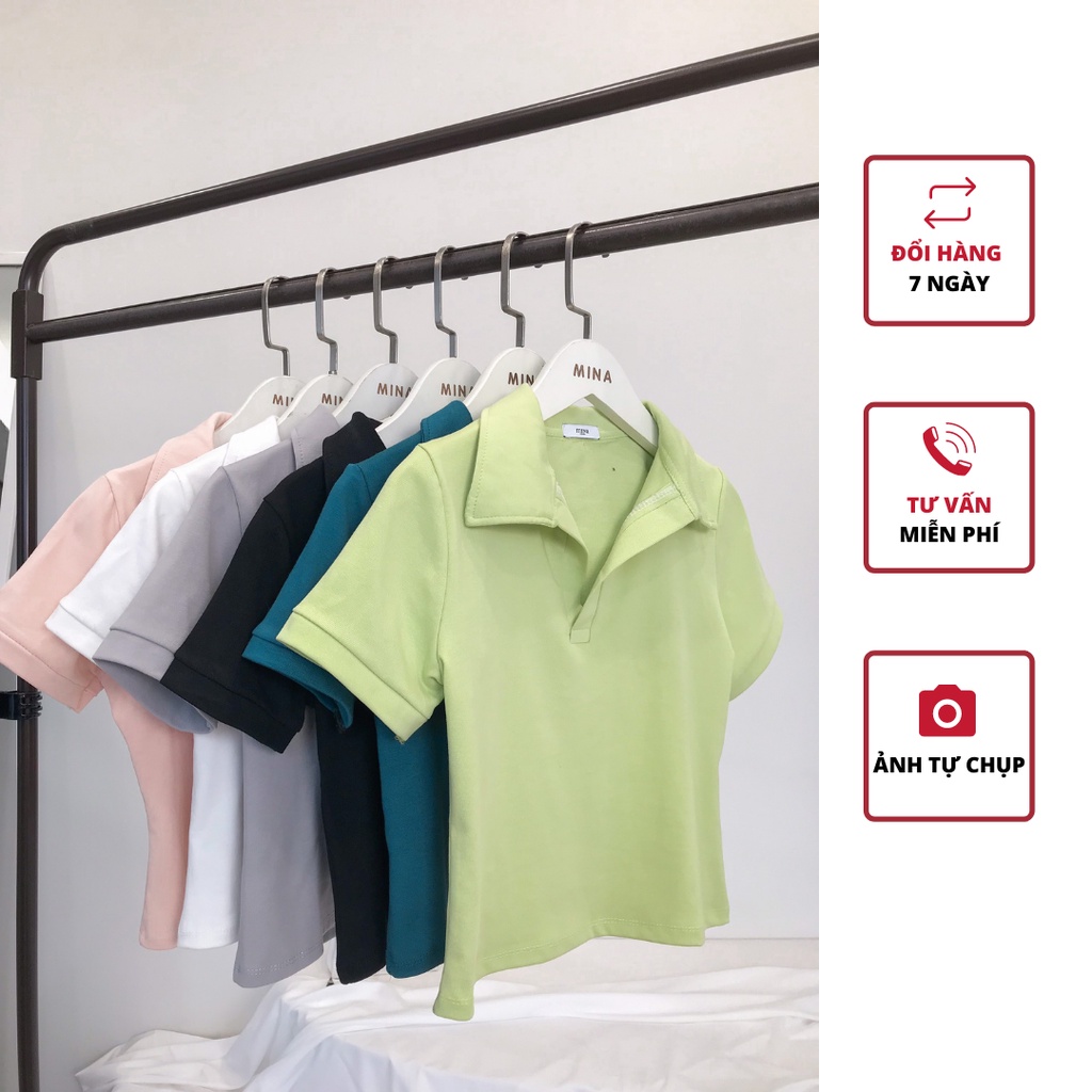 Áo phông cotton áo thun trơn nữ form vừa cổ polo MINA tay ngắn 4 ch