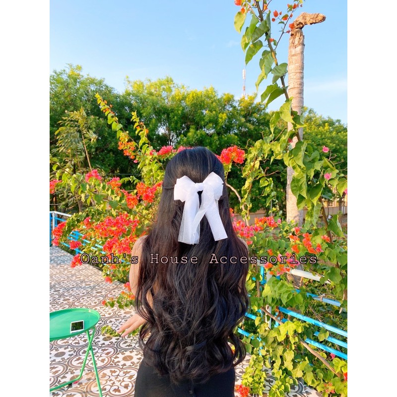 Kẹp nơ voan phối