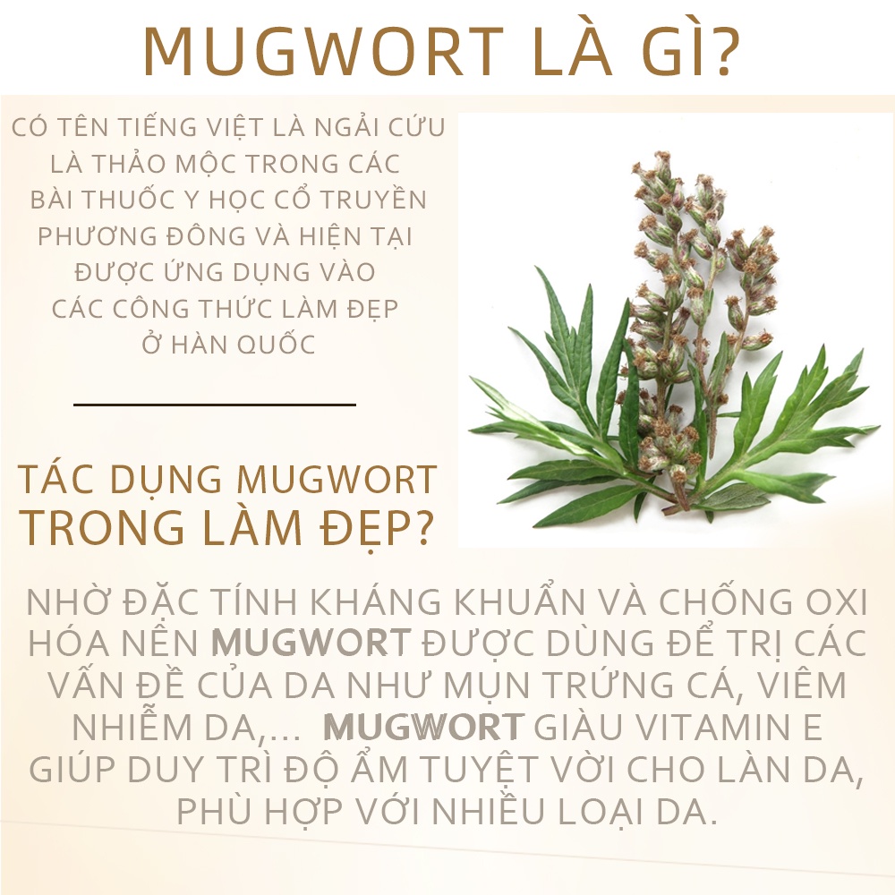 Tinh chất ngải cứu ngăn ngừa mụn dưỡng sáng mờ thâm sau mụn Mugwort Essence | ZEE ZEE skincare 30ml