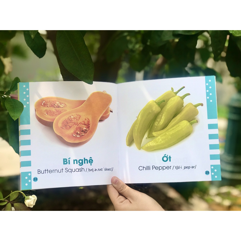 SÁCH - Từ điển bằng hình cho bé - Các loại rau củ - Vegetables
