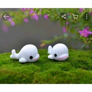 Cá Heo mini - Phụ kiện tiểu cảnh, chậu cây, hồ cá, mô hình trang trí