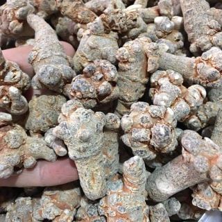 Combo 0,3kg tam thất + 1kg óc chó nếp