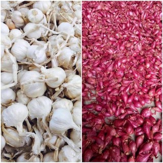 Combo 2kg tỏi+hành lý sơn