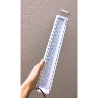 Đèn led máng dành cho bể thủy sinh 20cm,  30cm, 40cm, 50cm, 60cm