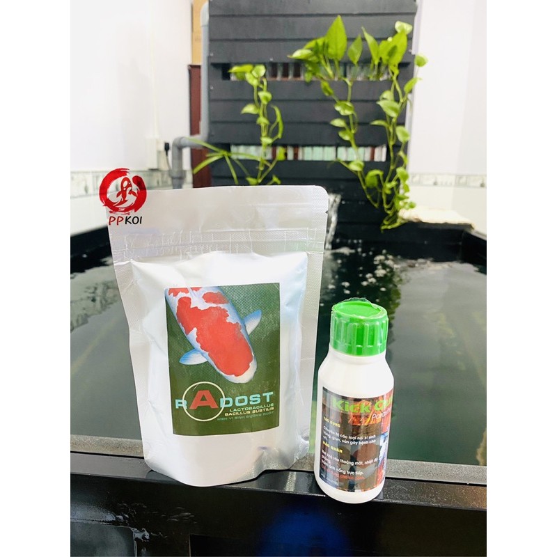 Men vi sinh đường ruột cho cá Koi RADOST