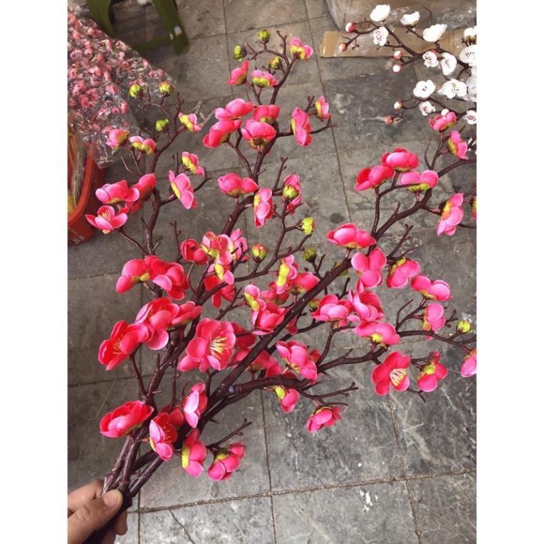 Cành đào thân cổ trang trí tết -LOẠI CAO CẤP