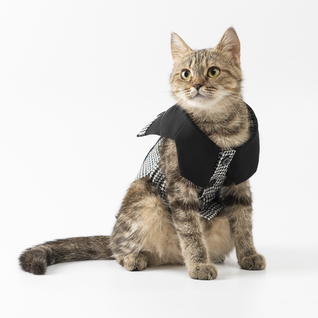 Áo hàng hiệu cho thú cưng SaboCoco - B&W5