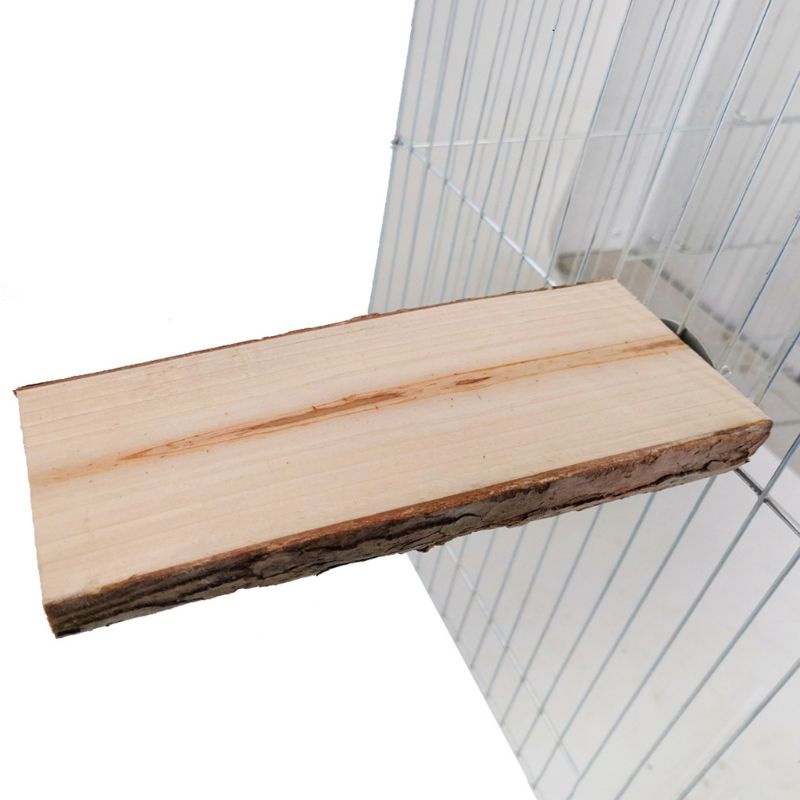 Set 2 thanh đứng bằng gỗ tự nhiên cho chim vẹt