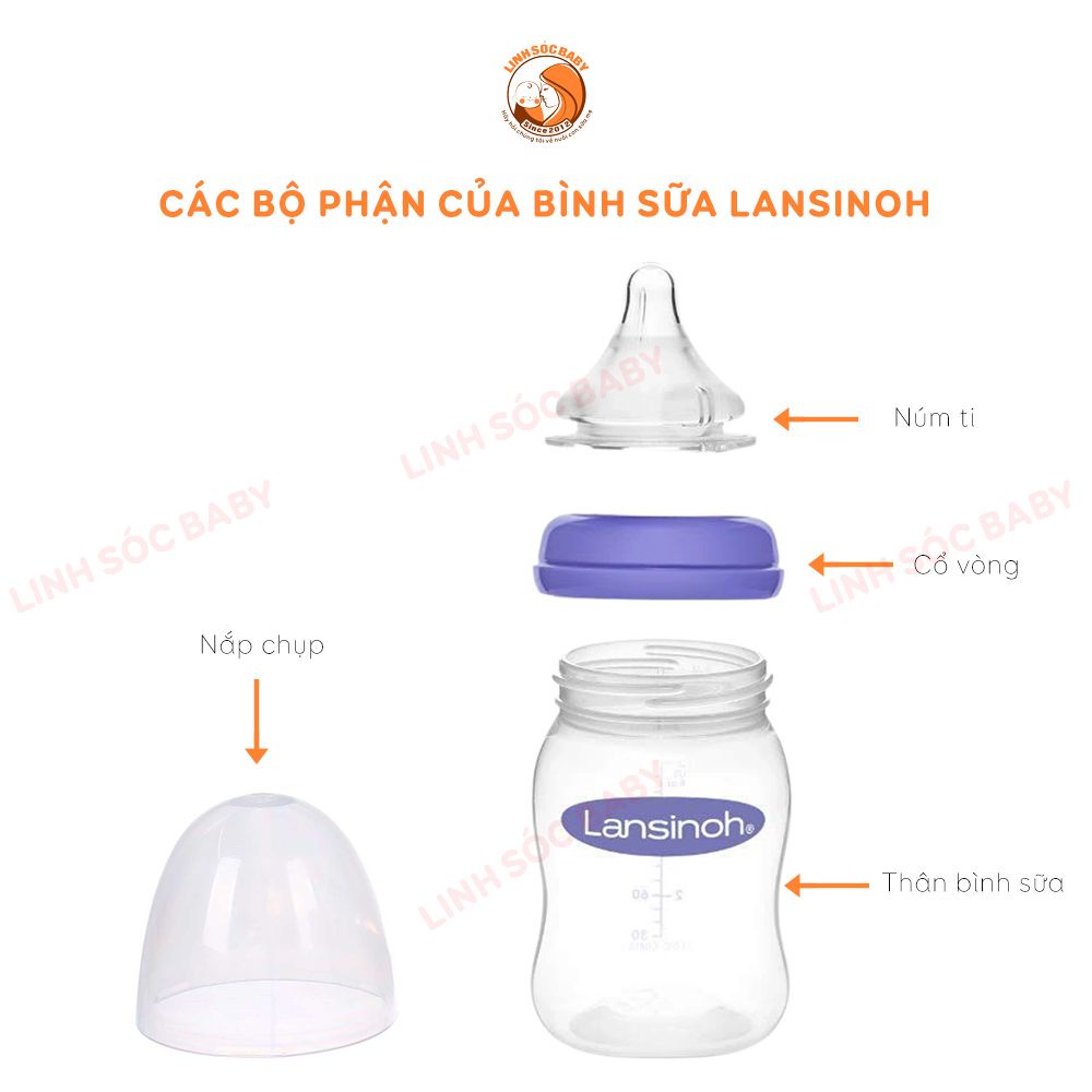 Bình sữa Lansinoh Momma 160ml - 240ml | Hàng chính hãng, núm ti siêu mềm size S/M/F