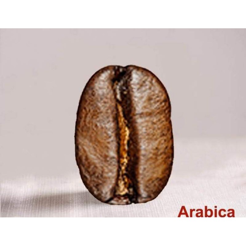 Cà phê PHA MÁY HẠT MỘC Arabica Catimor Cầu Đất - Đà Lạt _ vị CHUA THANH HẬU NGỌT THƠM NHẸ NHÀNG