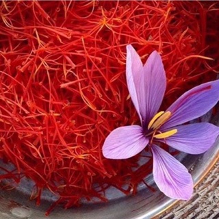 Saffron Bahraman thượng hạng