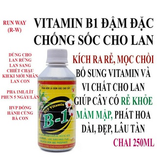 Phân bón đậm đặc HPV Vitamin B1 cho Phong Lan 250ml - Tăng cường mạnh bộ rễ, nâng cao sức đề kháng