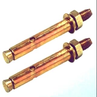 Tắc kê sắt 10 con nhiều loại