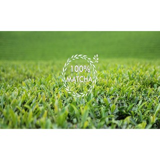 BỘT MATCHA NHẬT