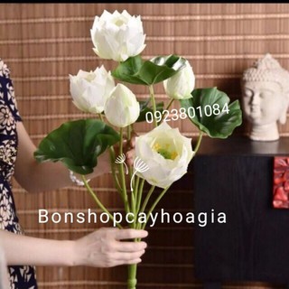 Cụm sen cao cấp cao 55cm- Hoa Giả