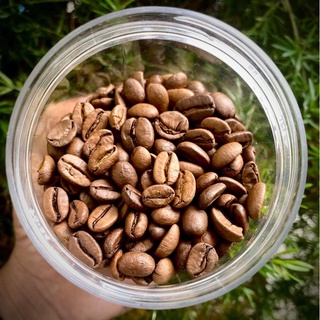 Cafe thuận tự nhiên. 200g hạt Cà phê arabica . Rang nhẹ.
