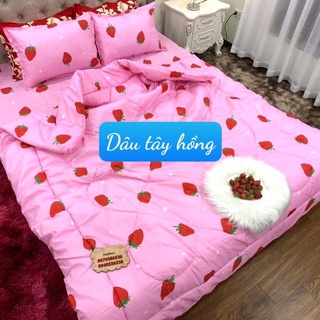 Chăn Phao Trần Bông Dày 1m8x2m,Vải Mềm Mịn Mẫu Hot nhất,có chọn mẫu,MẪU DÂU TÂY HỒNG