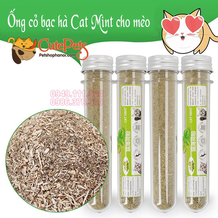 Cỏ Mèo Bạc Hà CAT MINT dành cho mèo - CutePets