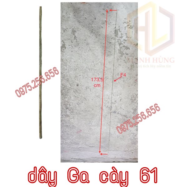 dây Ga cày 61