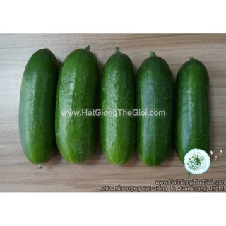 10h Hạt Giống Dưa Chuột Chùm 5 Quả F1 TG42 (A2.204| C5*X52*M400)