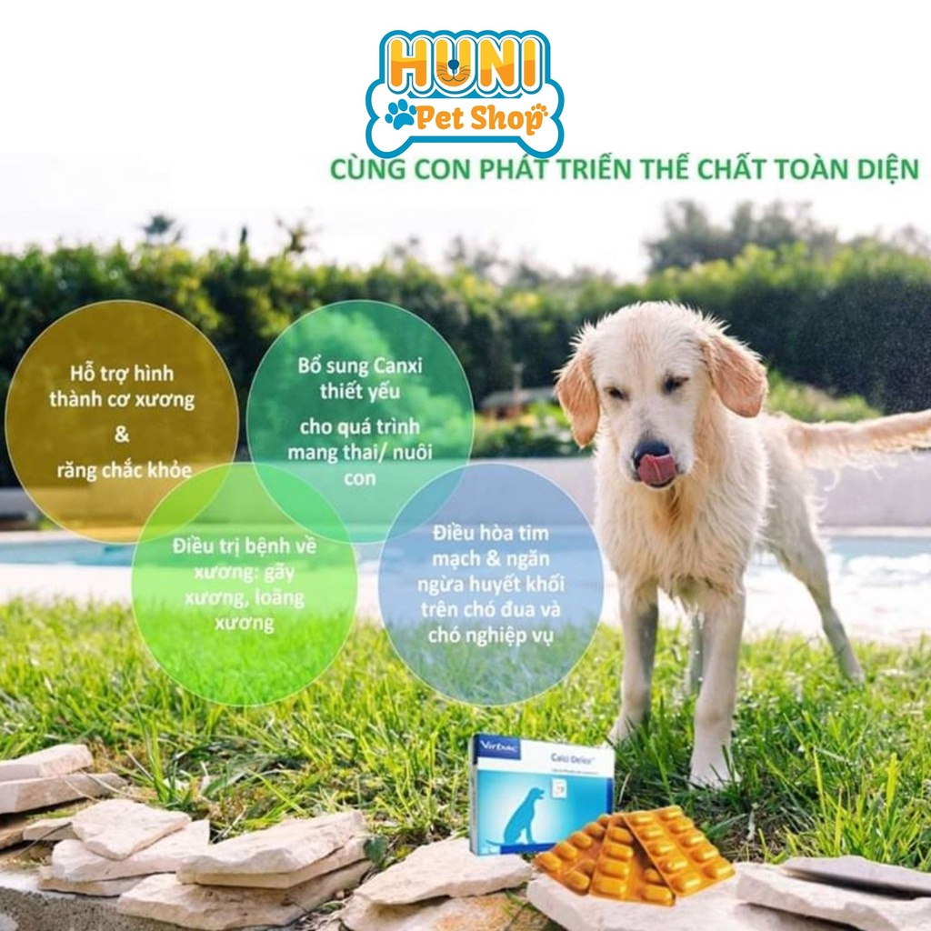 Viên Canxi cho chó mèo Pháp Virbac viên Calci Delice cho chó con, chó thiếu hụt dinh dưỡng vỉ 10 viên- Huni Petshop