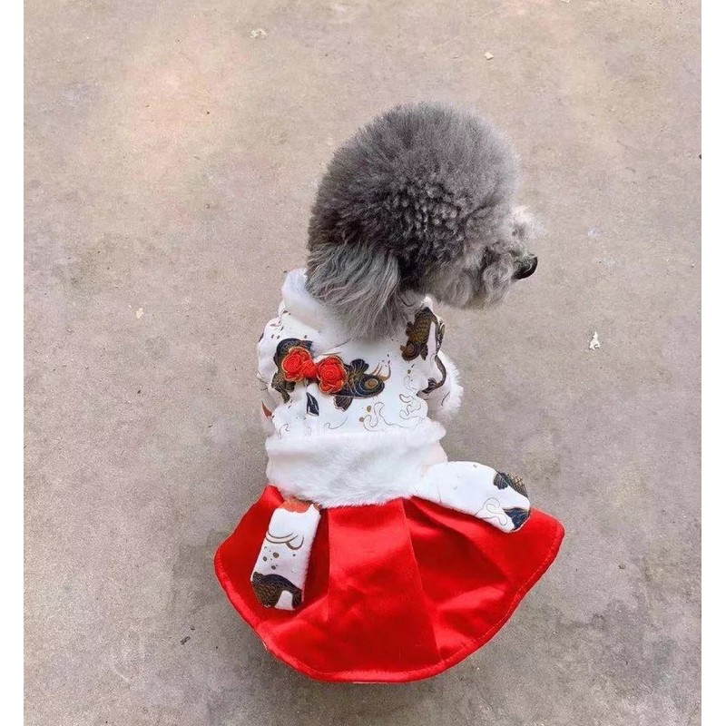 Váy tết siêu xinh cho cún miu 🧧