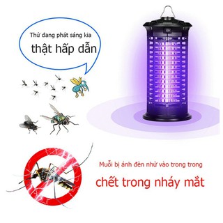 Máy diệt muỗi VN-Mosquito Lamp-ML10