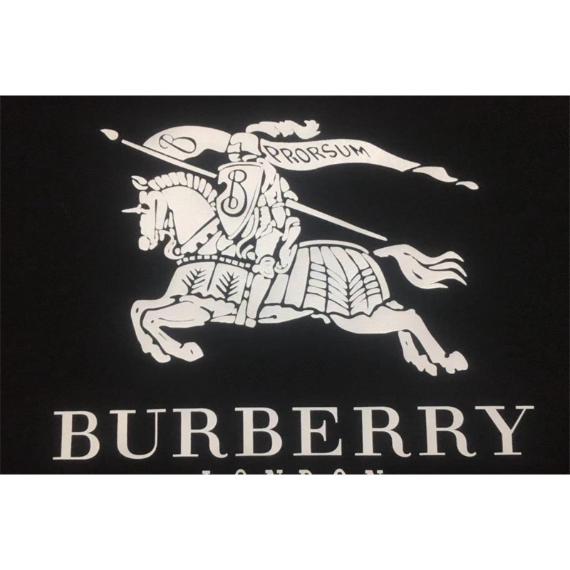 Áo Thun Cotton Tay Ngắn In Hình BUR-be-rry Cổ Điển Thời Trang Cho Nam Và Nữ