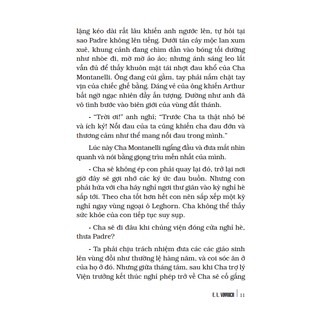Sách - Ruồi Trâu (Bìa Cứng)