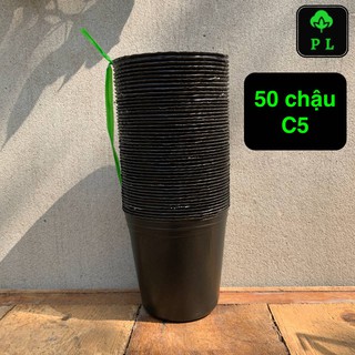 Combo 50 chậu nhựa đen C5 (10x10 cm) hiệu Phước Lộc loại dày nhất
