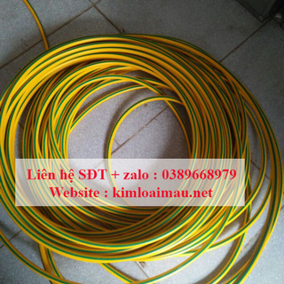 Cáp tiếp địa Tân Phú M10 , thiết diện 1x10mm2
