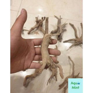 Lũa Bé Trang Trí Bể Cá - Bể Thủy Sinh