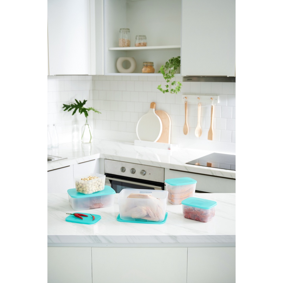 Bộ 5 hộp trữ đông Tupperware Paradise