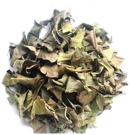Lá vối khô 1kg hàng loại 1